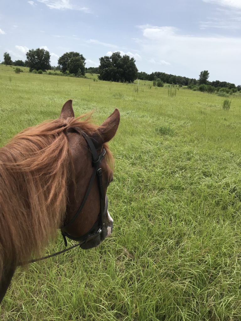 Ben in a big hay field