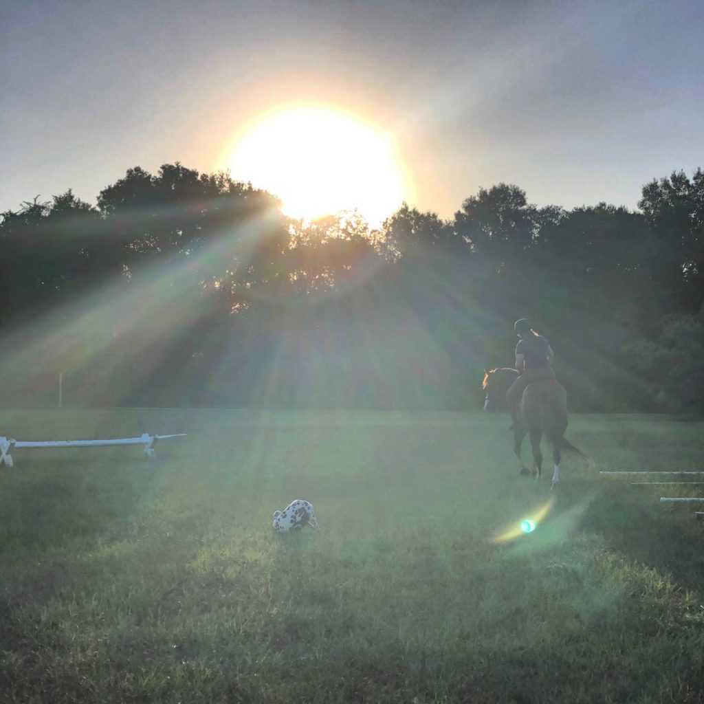 Riding a horse at sunset