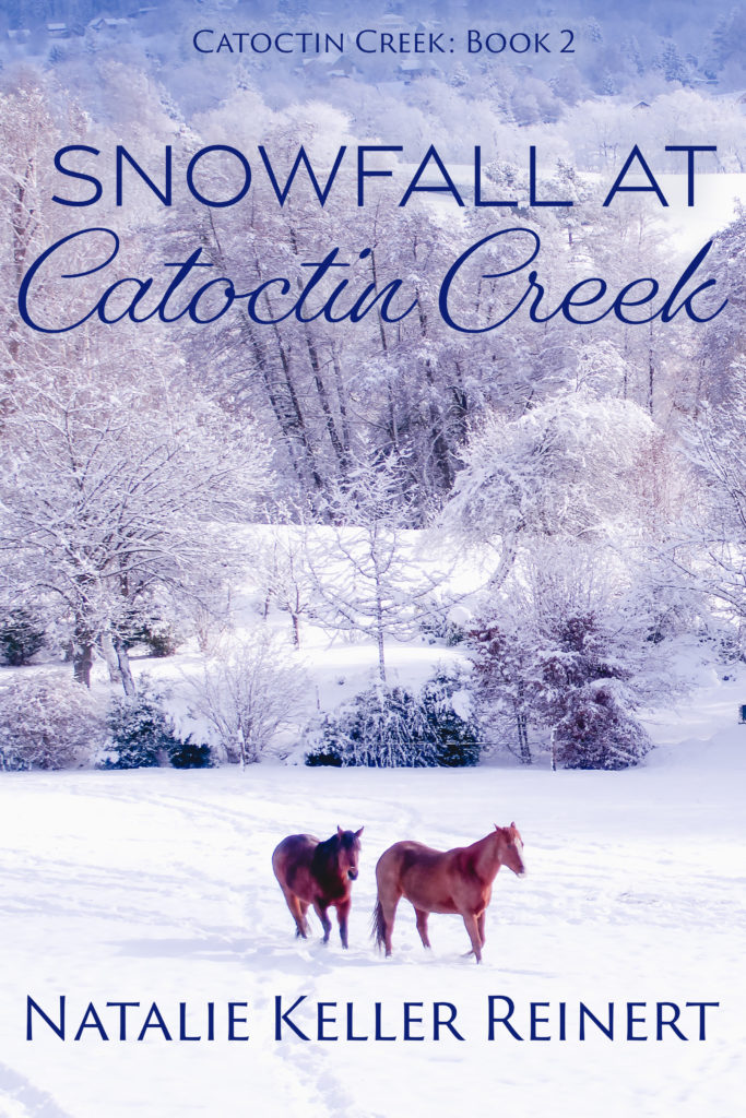 Snowfall at Catoctin Creek