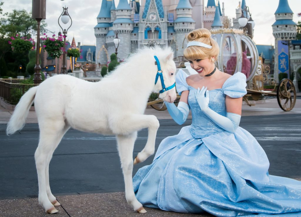 Photo: Disney