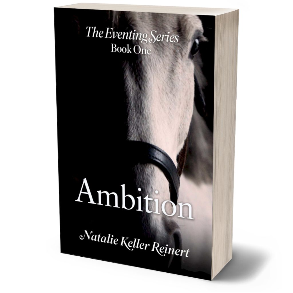 Ambition Paperback Book